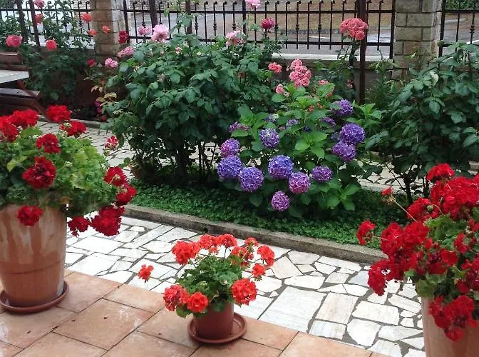 Apartmán Alma