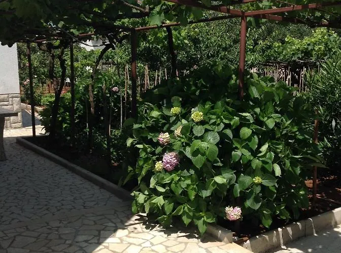 Appartamento Alma
